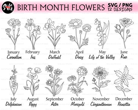 Birth month flowers svg designs bundle designs you will receive a ZIP folder, which includes - 12 SVG file - 12 DXF file - 12 PNG File(vector) - 12 EPS file(300 dpi high resolution and transparent background) These designs can be used for many purposes such women, kids, baby or Birthday girl,. . Birth month flowers svg free